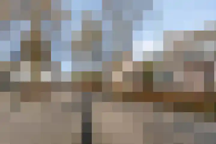 Horst 79 Gemert thumbnail 37