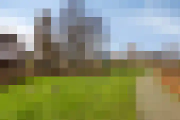 Horst 79 Gemert thumbnail 38