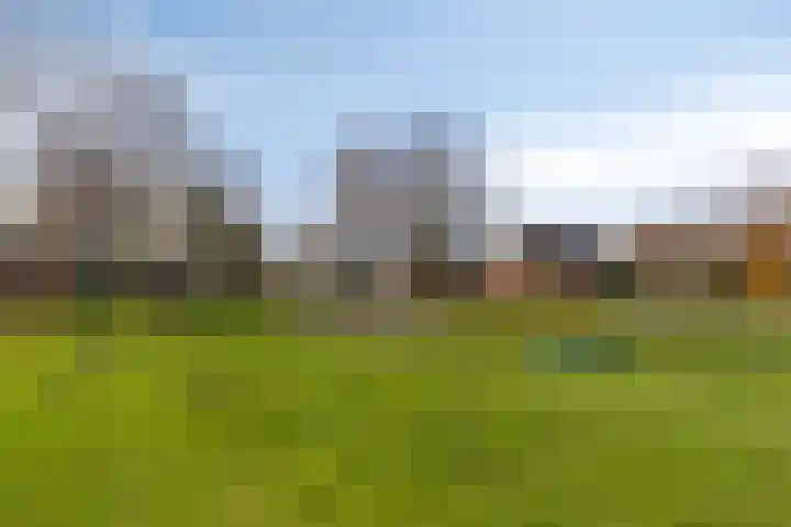 Horst 79 Gemert thumbnail 39