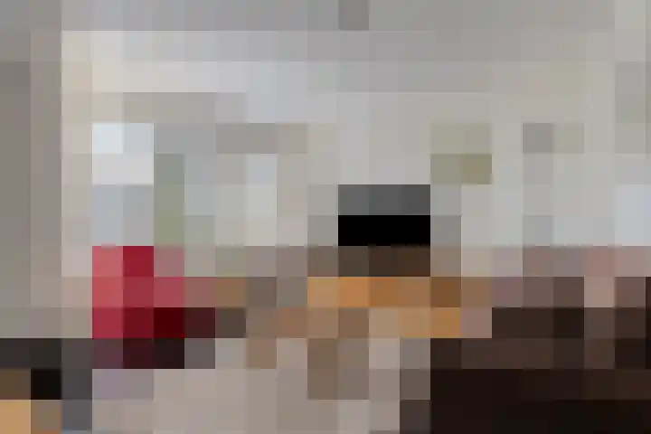 Horst 79 Gemert thumbnail 6