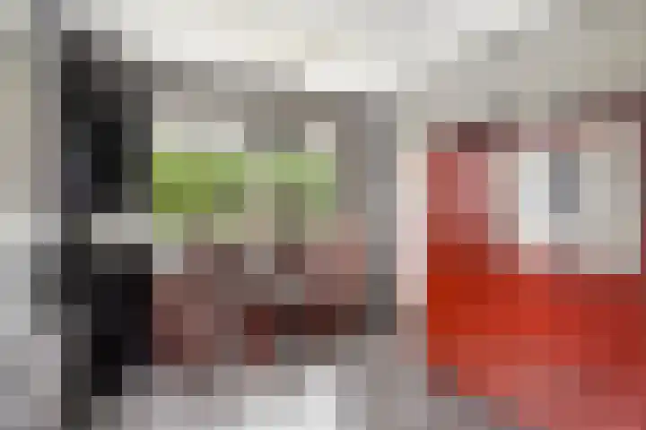 Horst 81 Gemert thumbnail 10