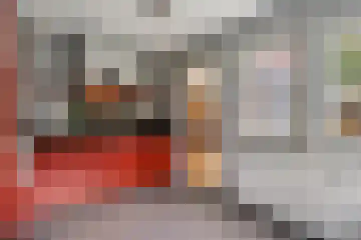 Horst 81 Gemert thumbnail 11