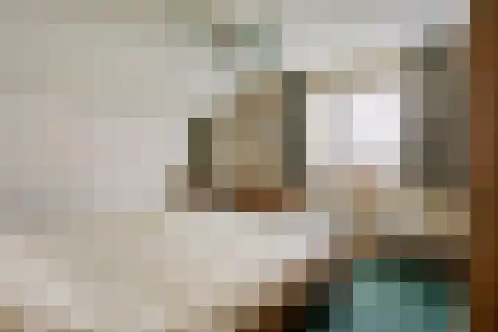 Horst 81 Gemert thumbnail 16