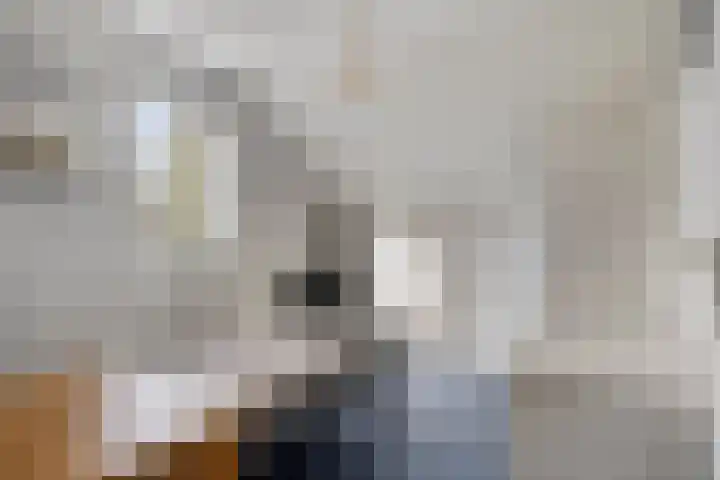 Horst 81 Gemert thumbnail 19
