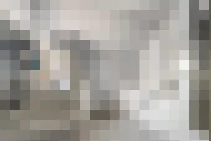 Horst 81 Gemert thumbnail 20