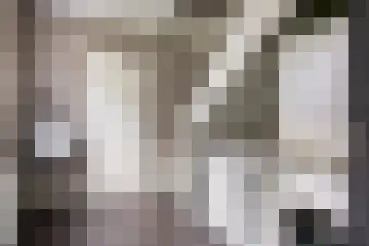 Horst 81 Gemert thumbnail 25
