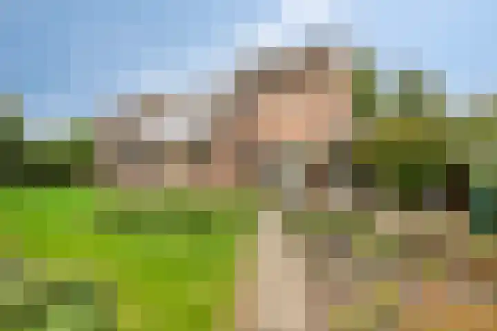 Horst 81 Gemert thumbnail 28