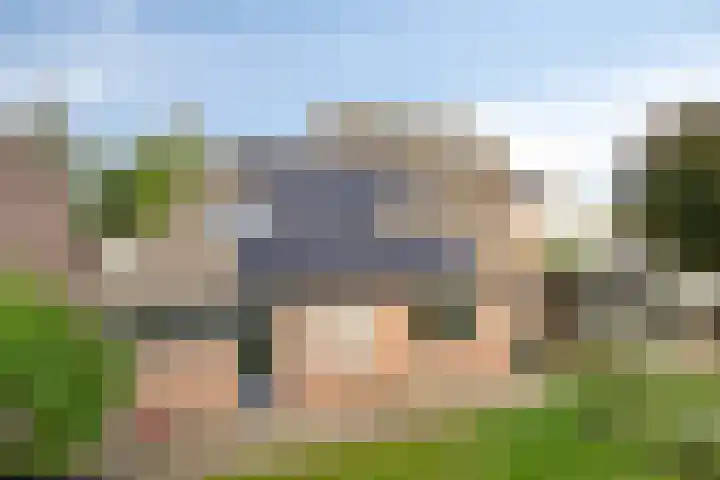 Horst 81 Gemert thumbnail 29