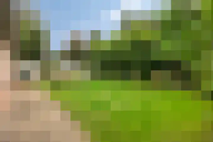Horst 81 Gemert thumbnail 30