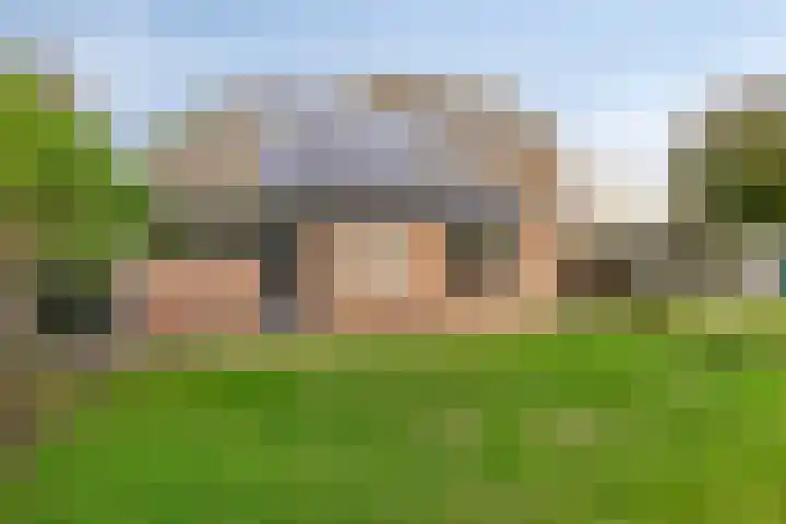 Horst 81 Gemert thumbnail 31