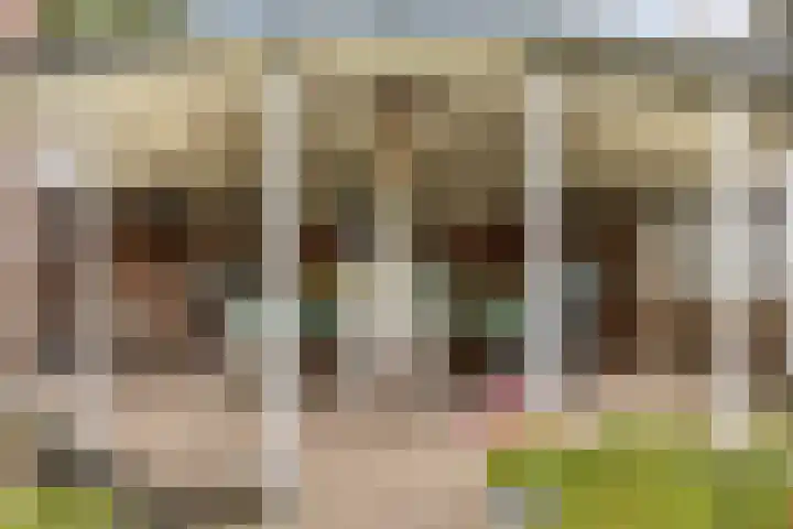 Horst 81 Gemert thumbnail 34
