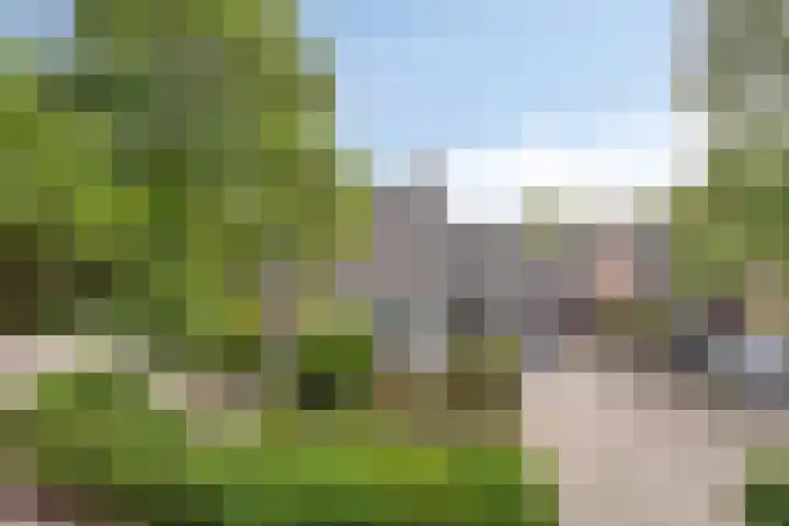 Horst 81 Gemert thumbnail 35