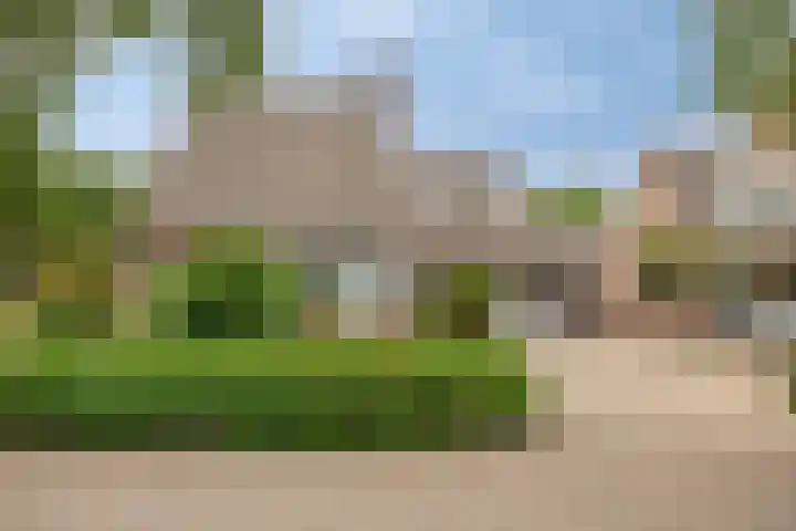 Horst 81 Gemert thumbnail 36