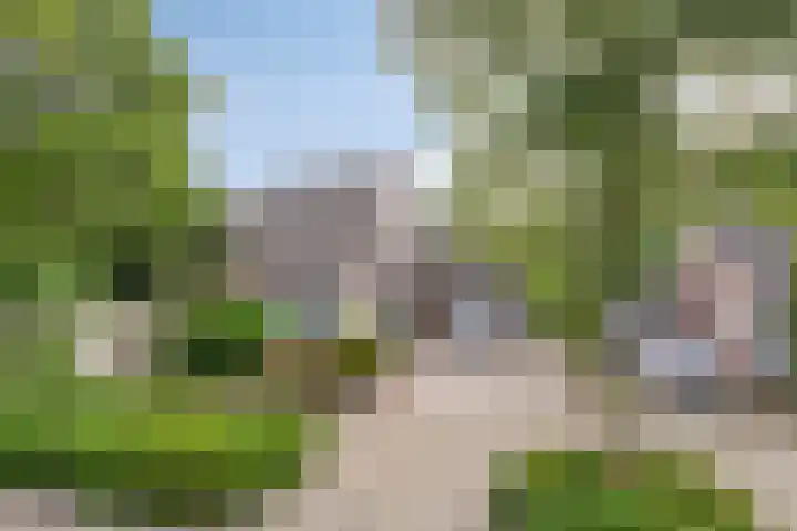 Horst 81 Gemert thumbnail 37