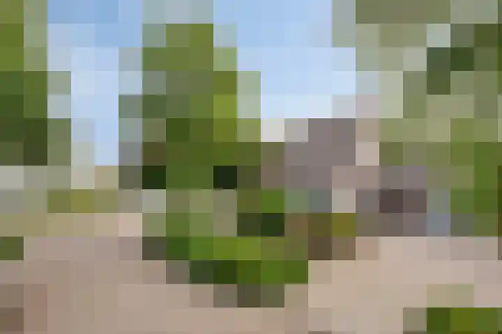 Horst 81 Gemert thumbnail 38