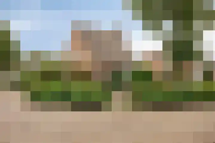 Horst 81 Gemert thumbnail 39