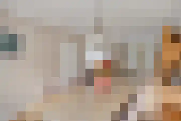Horst 81 Gemert thumbnail 4