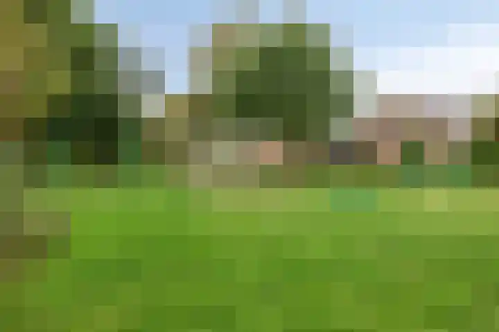 Horst 81 Gemert thumbnail 40