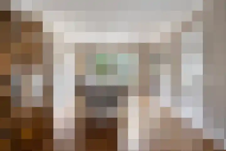 Horst 81 Gemert thumbnail 5