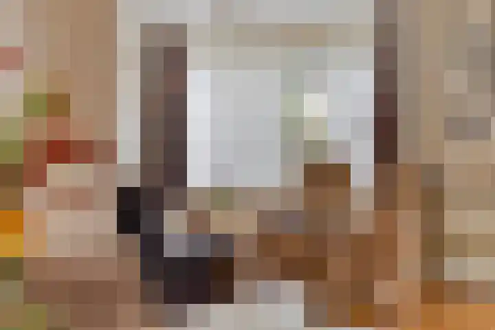 Horst 81 Gemert thumbnail 8