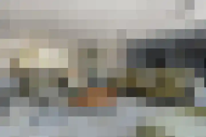 Horst 9 Hendrik-Ido-Ambacht thumbnail 10