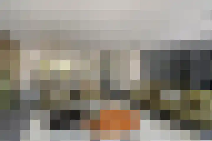 Horst 9 Hendrik-Ido-Ambacht thumbnail 11