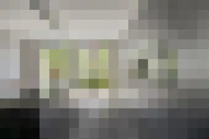 Horst 9 Hendrik-Ido-Ambacht thumbnail 13