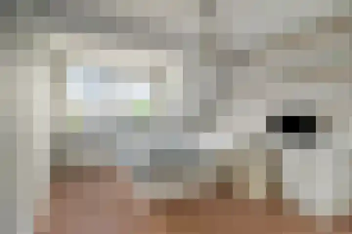 Horst 9 Hendrik-Ido-Ambacht thumbnail 26