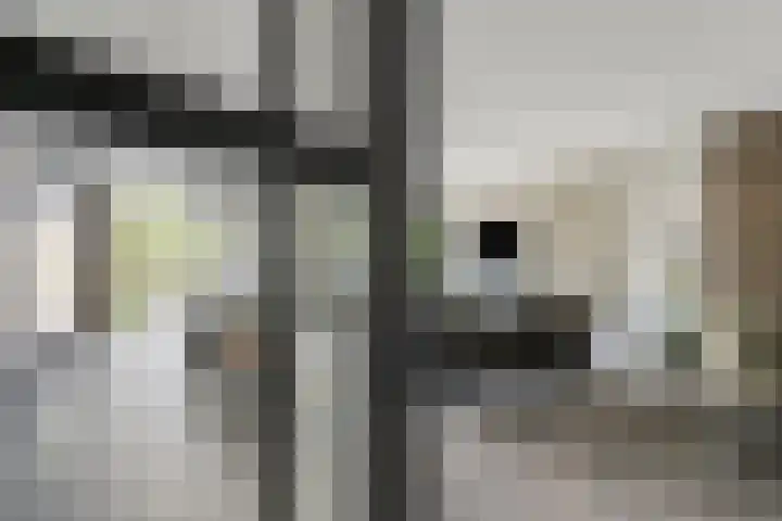 Horst 9 Hendrik-Ido-Ambacht thumbnail 8