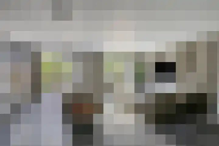 Horst 9 Hendrik-Ido-Ambacht thumbnail 9