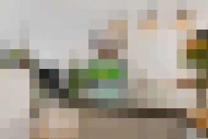 Horstacker 1377 Nijmegen thumbnail 11