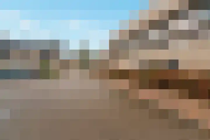 Horstacker 1377 Nijmegen thumbnail 30