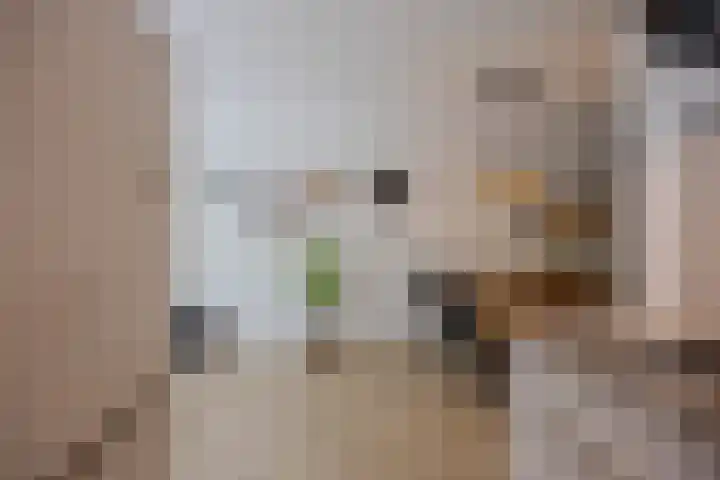 Horstacker 1379 Nijmegen thumbnail 11