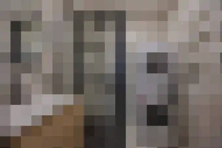 Horstacker 1379 Nijmegen thumbnail 18