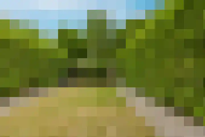 Horstacker 1379 Nijmegen thumbnail 20