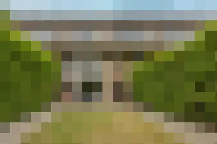 Horstacker 1379 Nijmegen thumbnail 21