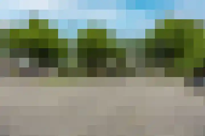 Horstacker 1379 Nijmegen thumbnail 25