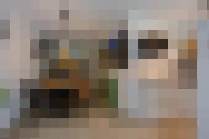 Horstacker 1379 Nijmegen thumbnail 7
