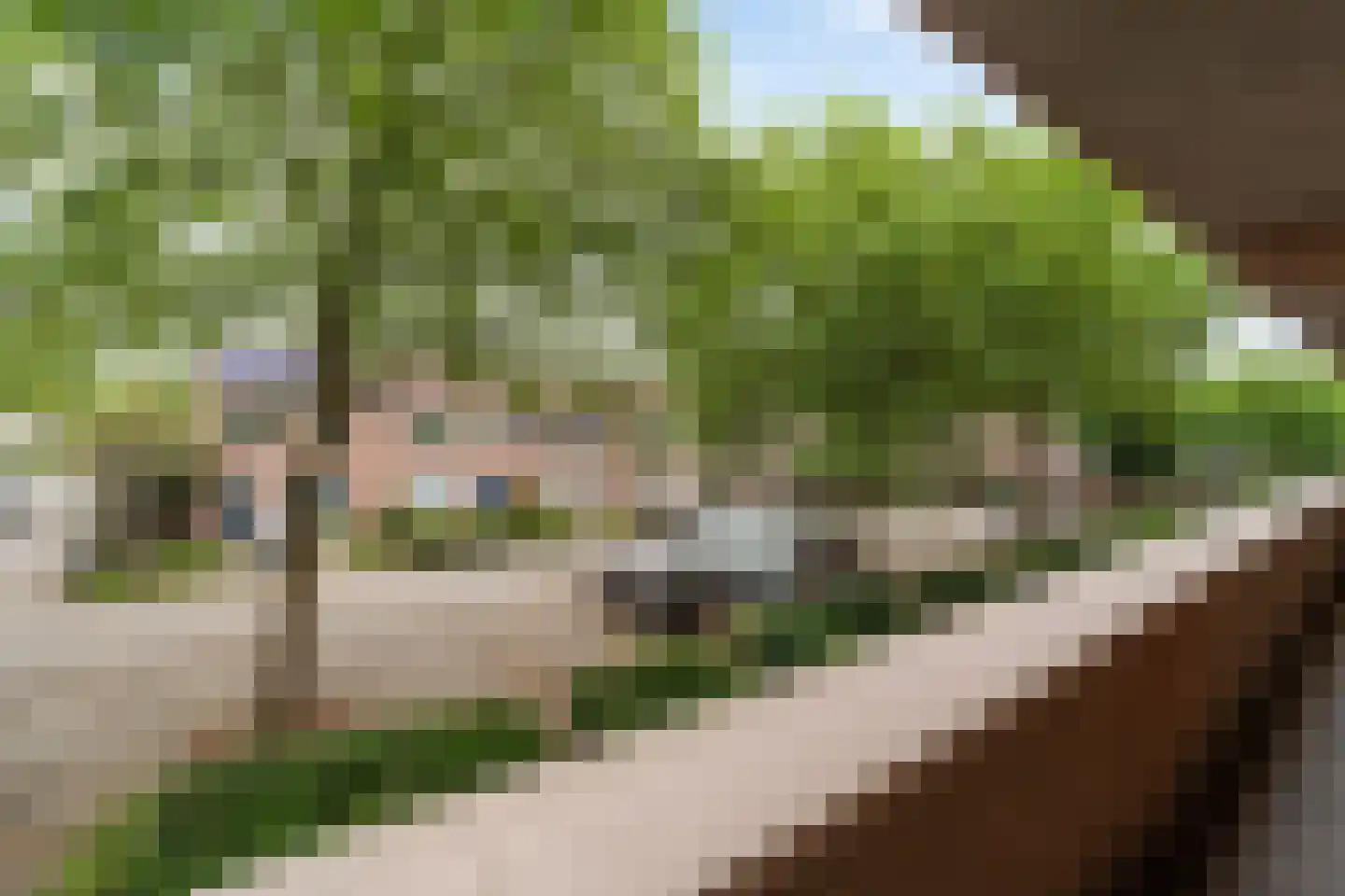 Horstacker 1524 Nijmegen thumbnail 10