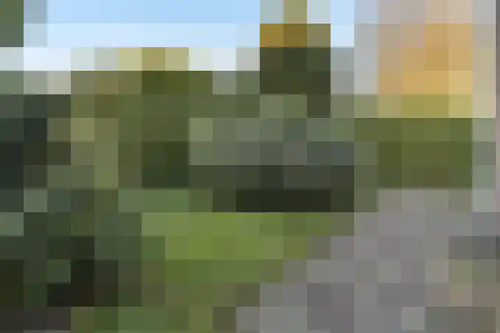 Horstacker 1809 Nijmegen thumbnail 31