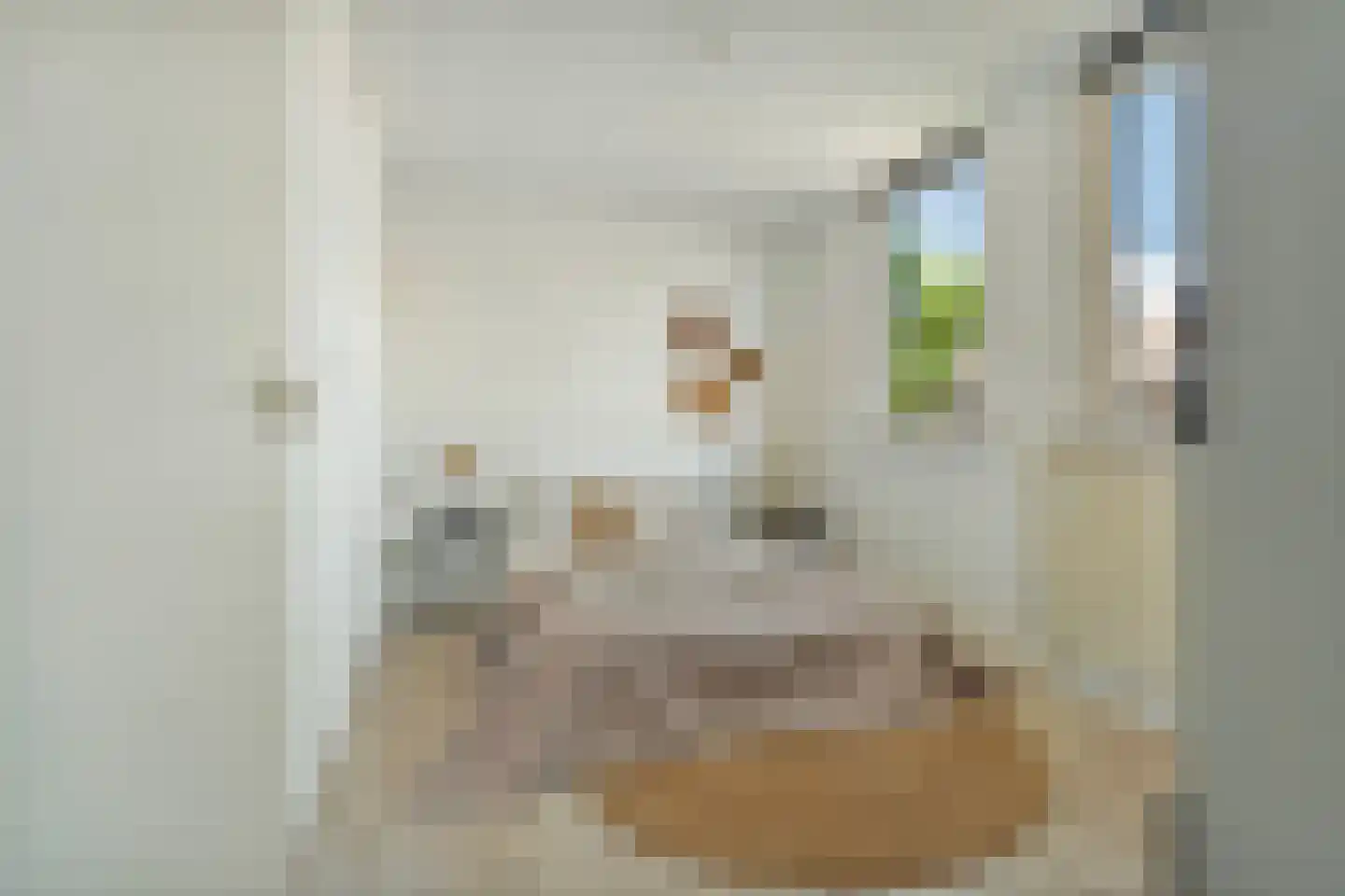 Horstacker 2034 Nijmegen thumbnail 17