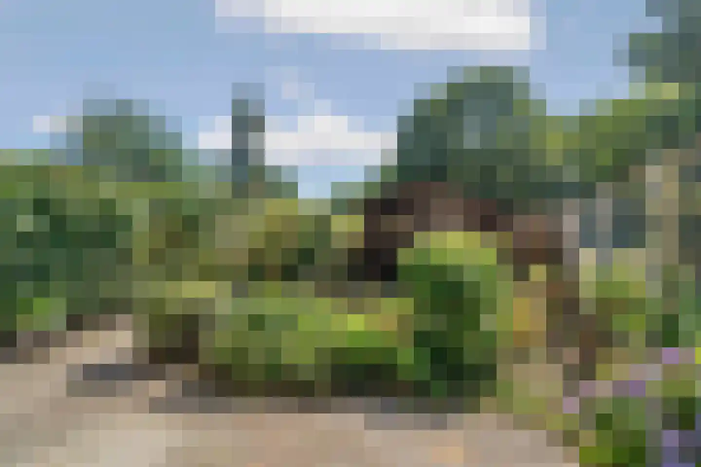 Horstacker 2034 Nijmegen thumbnail 32