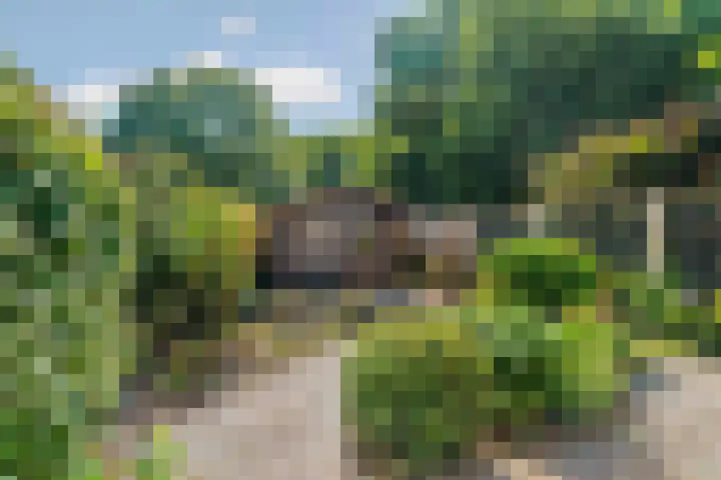 Horstacker 2034 Nijmegen thumbnail 33