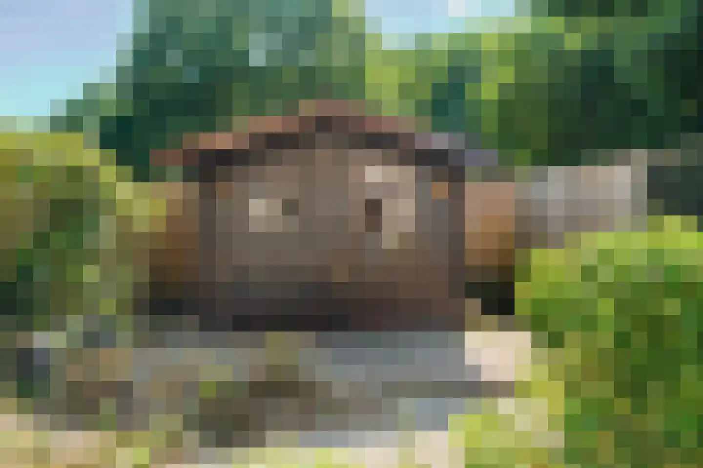 Horstacker 2034 Nijmegen thumbnail 34