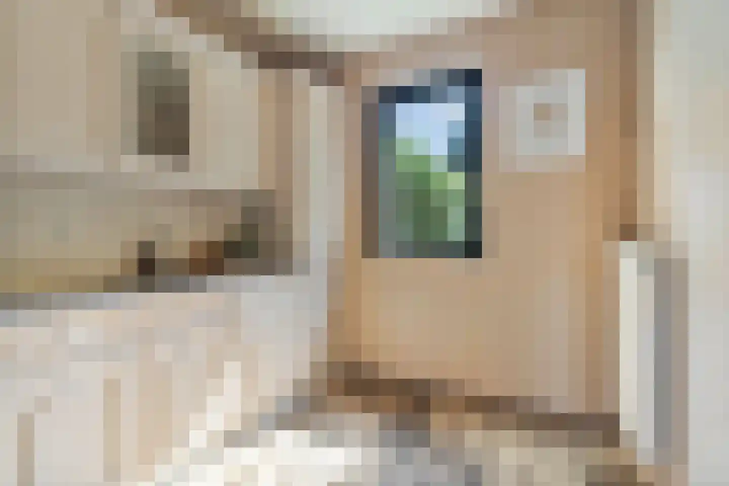 Horstacker 2034 Nijmegen thumbnail 9