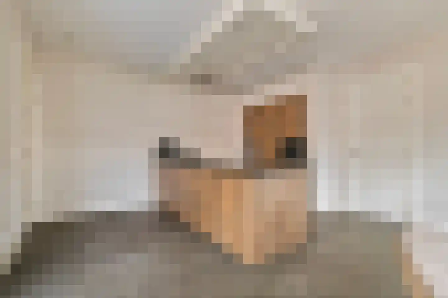 Horstakker 21 Erp thumbnail 13