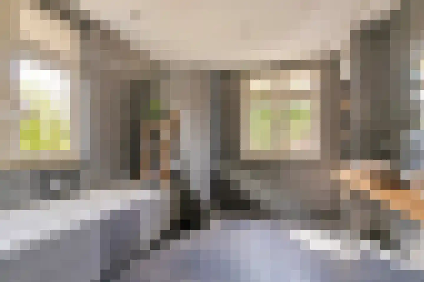 Horstakker 21 Erp thumbnail 23