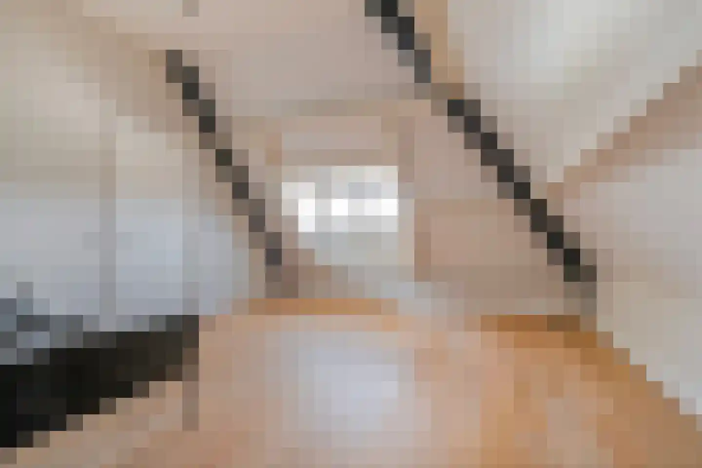 Horstakker 21 Erp thumbnail 32
