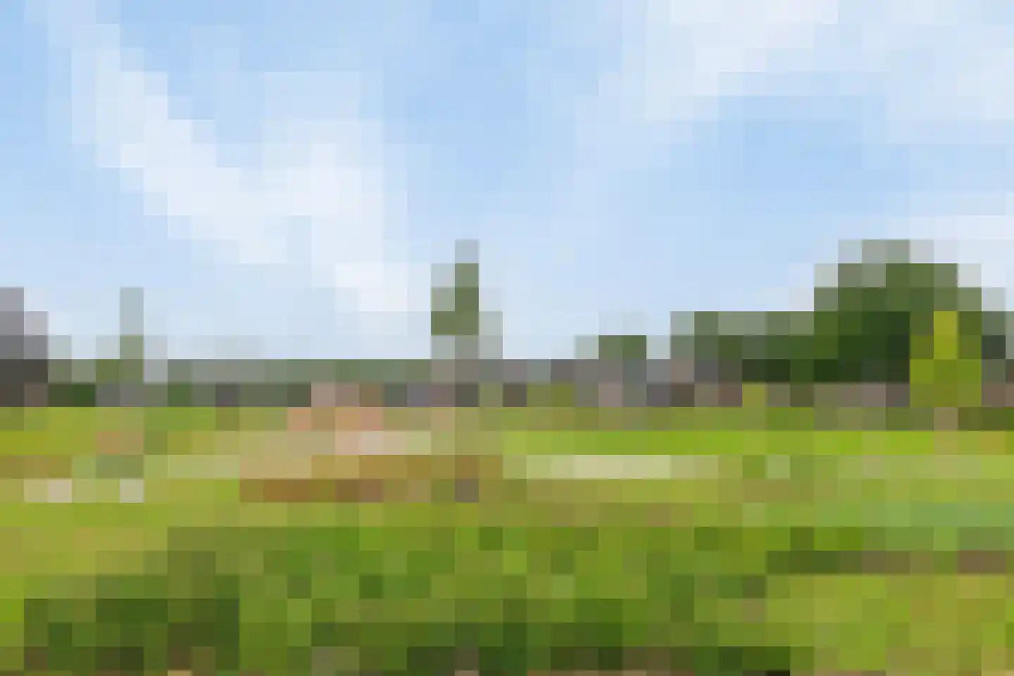 Horstakker 21 Erp thumbnail 46