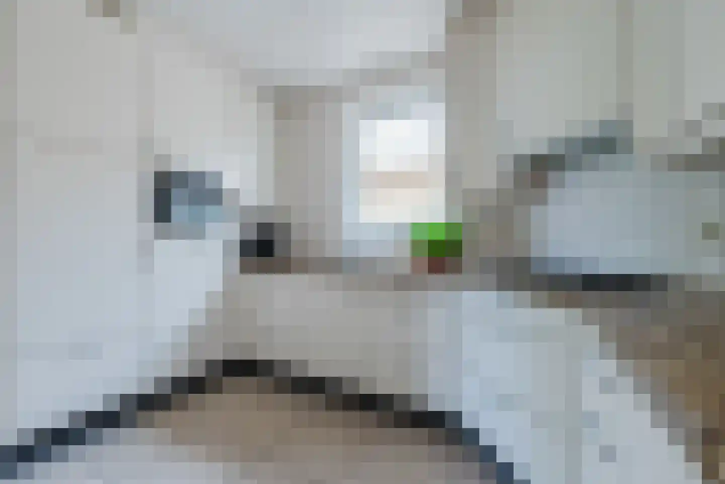 Horstakker 3 Bergeijk thumbnail 13